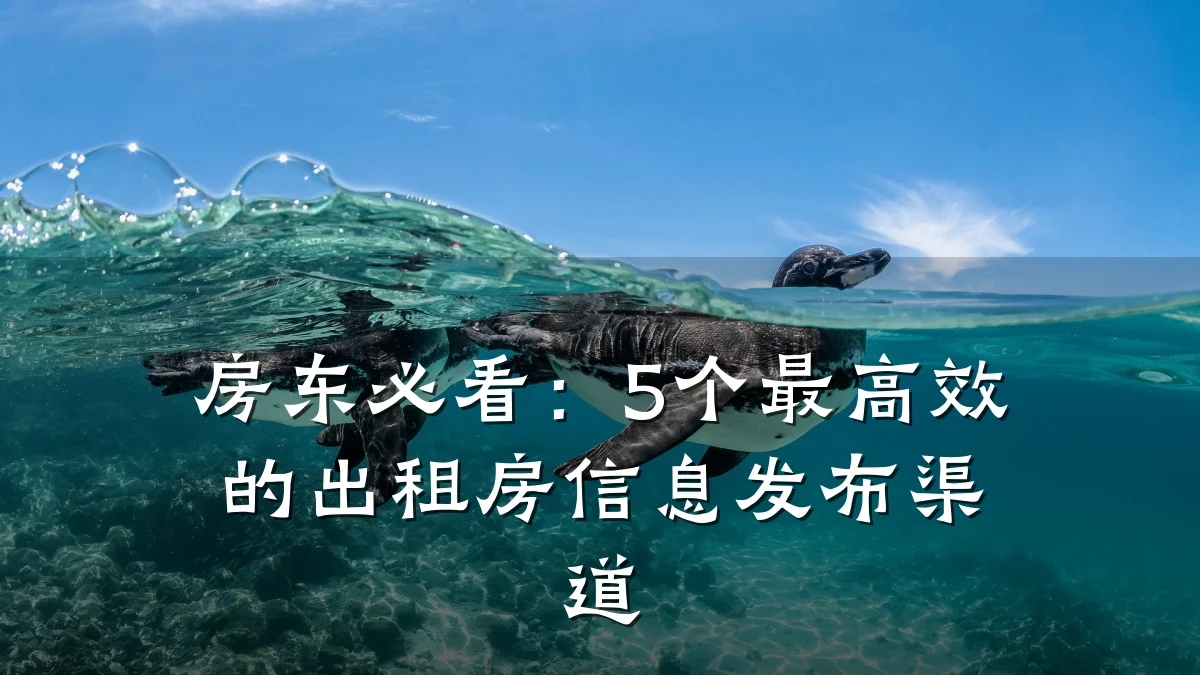 房东必看:5个最高效的出租房信息发布渠道