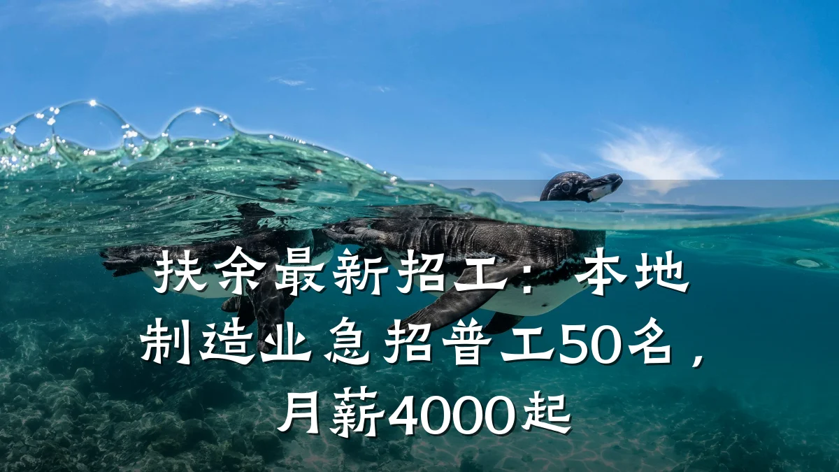 扶余最新招工:本地制造业急招普工50名,月薪4000起
