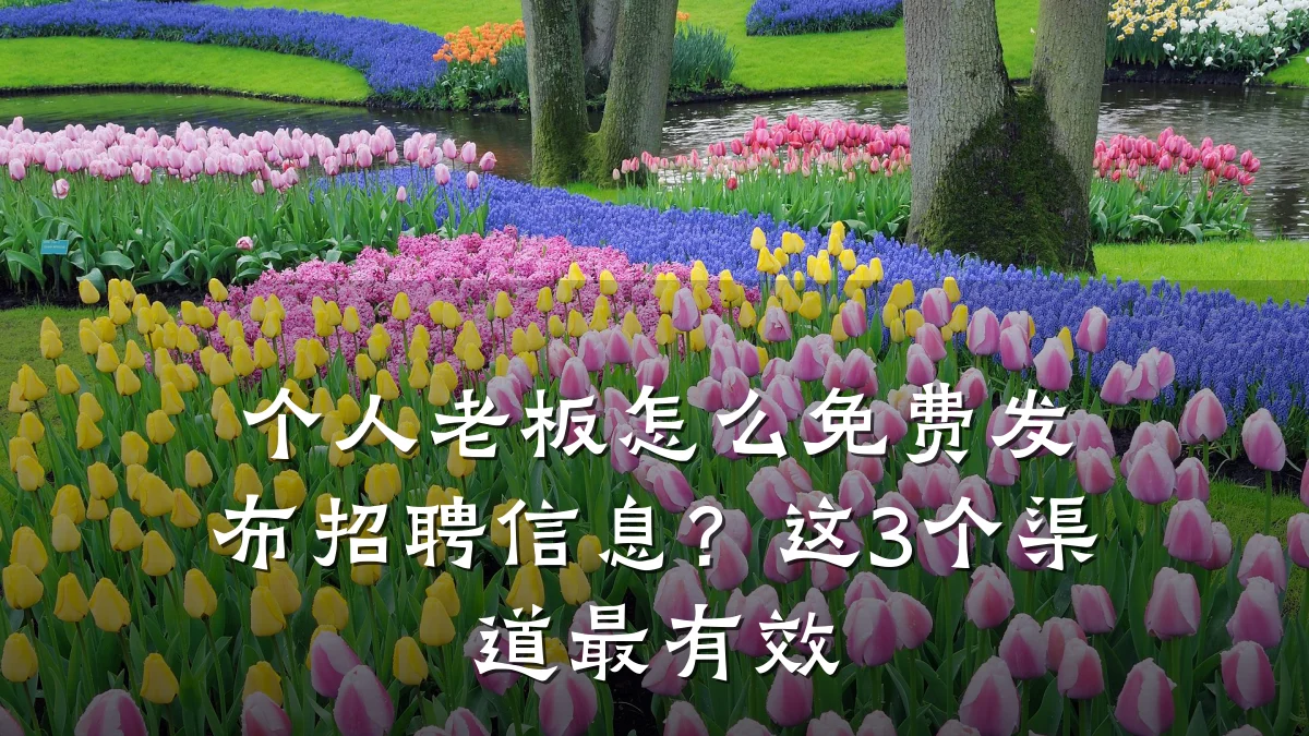 个人老板怎么免费发布招聘信息?这3个渠道最有效
