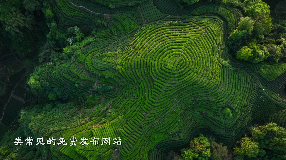 类常见的免费发布网站