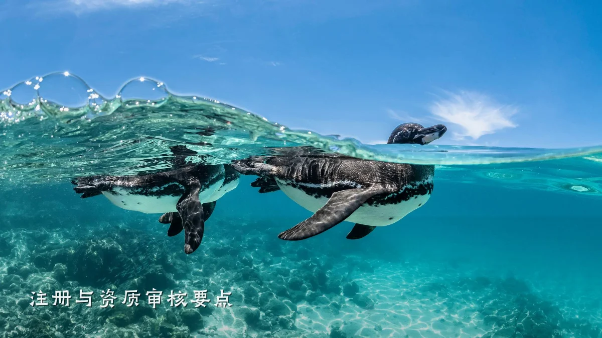 注册与资质审核要点