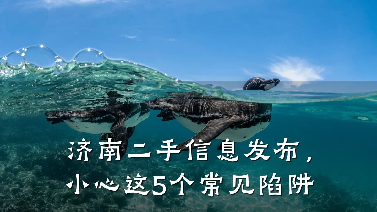 济南二手信息发布，小心这5个常见陷阱