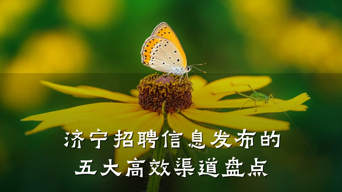 济宁招聘信息发布的五大高效渠道盘点