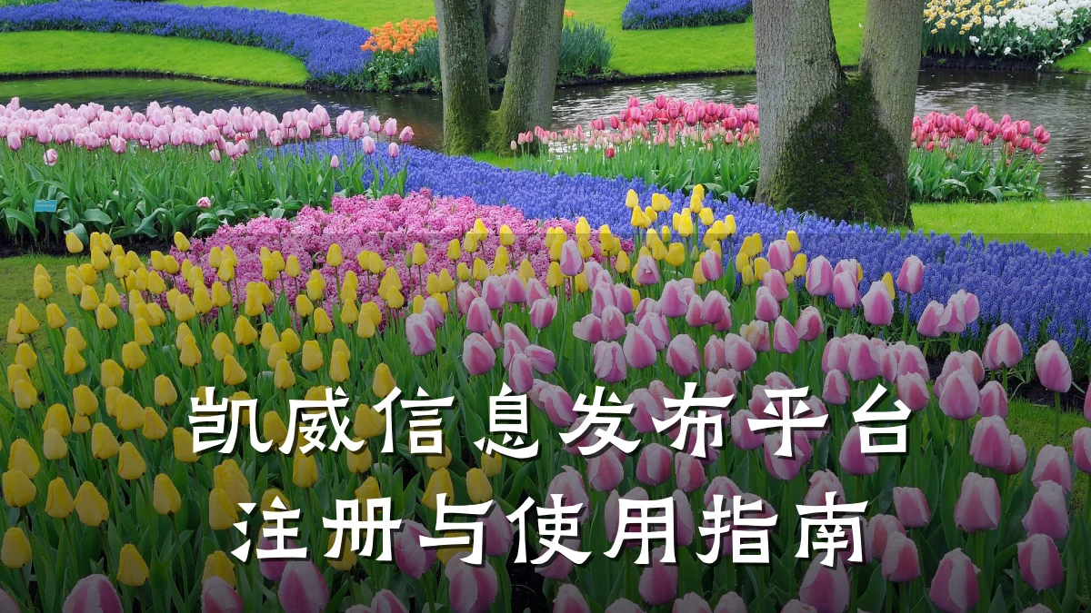 凯威信息发布平台注册与使用指南