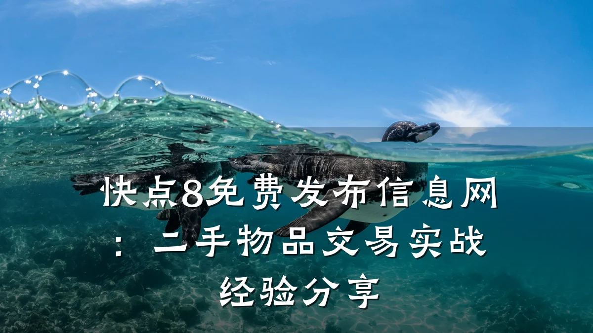 快点8免费发布信息网：二手物品交易实战经验分享
