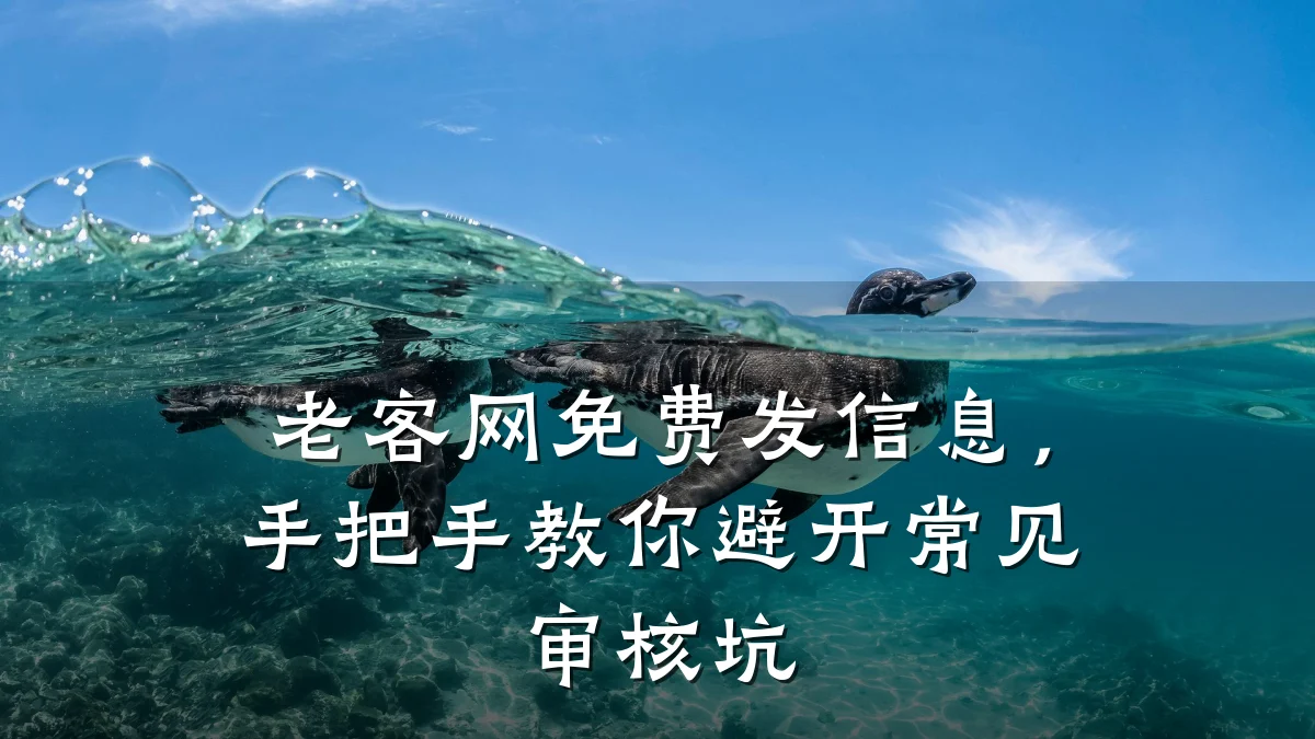 老客网免费发信息，手把手教你避开常见审核坑