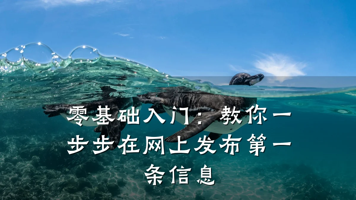 零基础入门:教你一步步在网上发布第一条信息