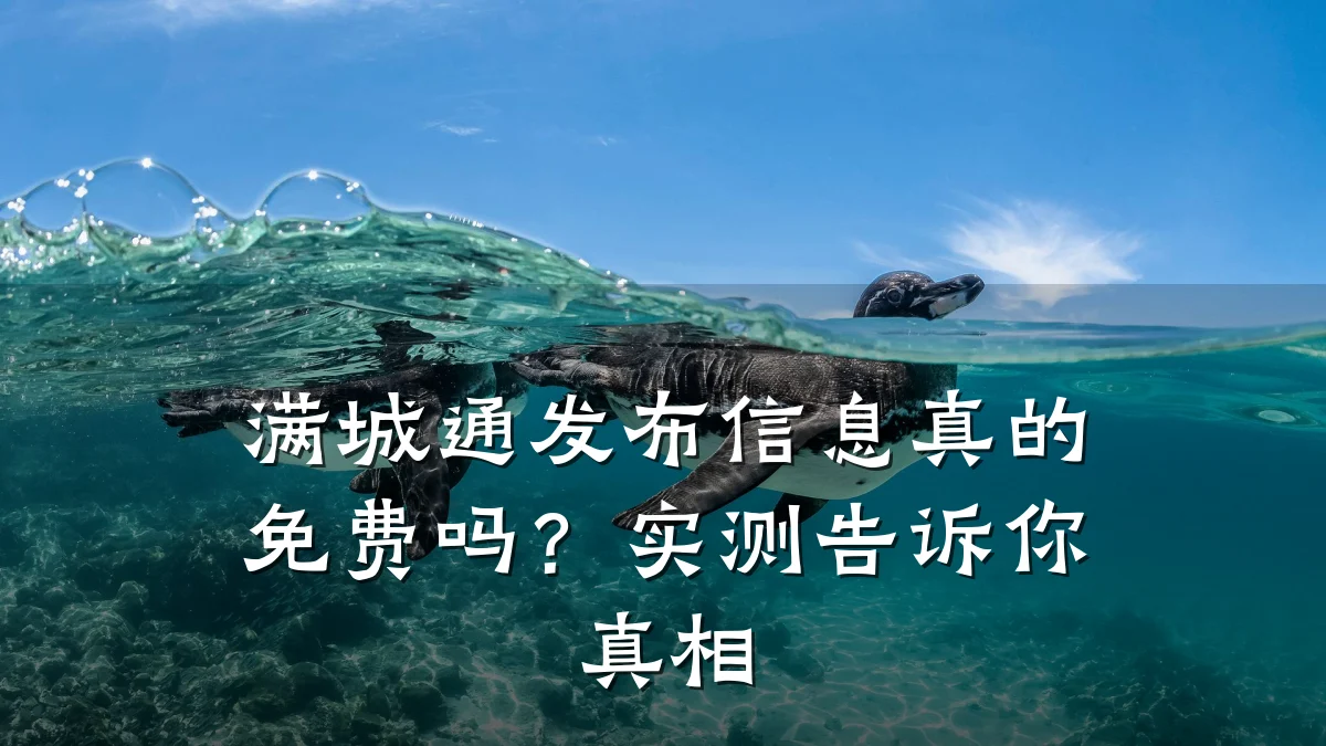 满城通发布信息真的免费吗？实测告诉你真相