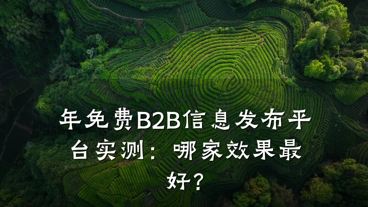 年免费B2B信息发布平台实测:哪家效果最好?
