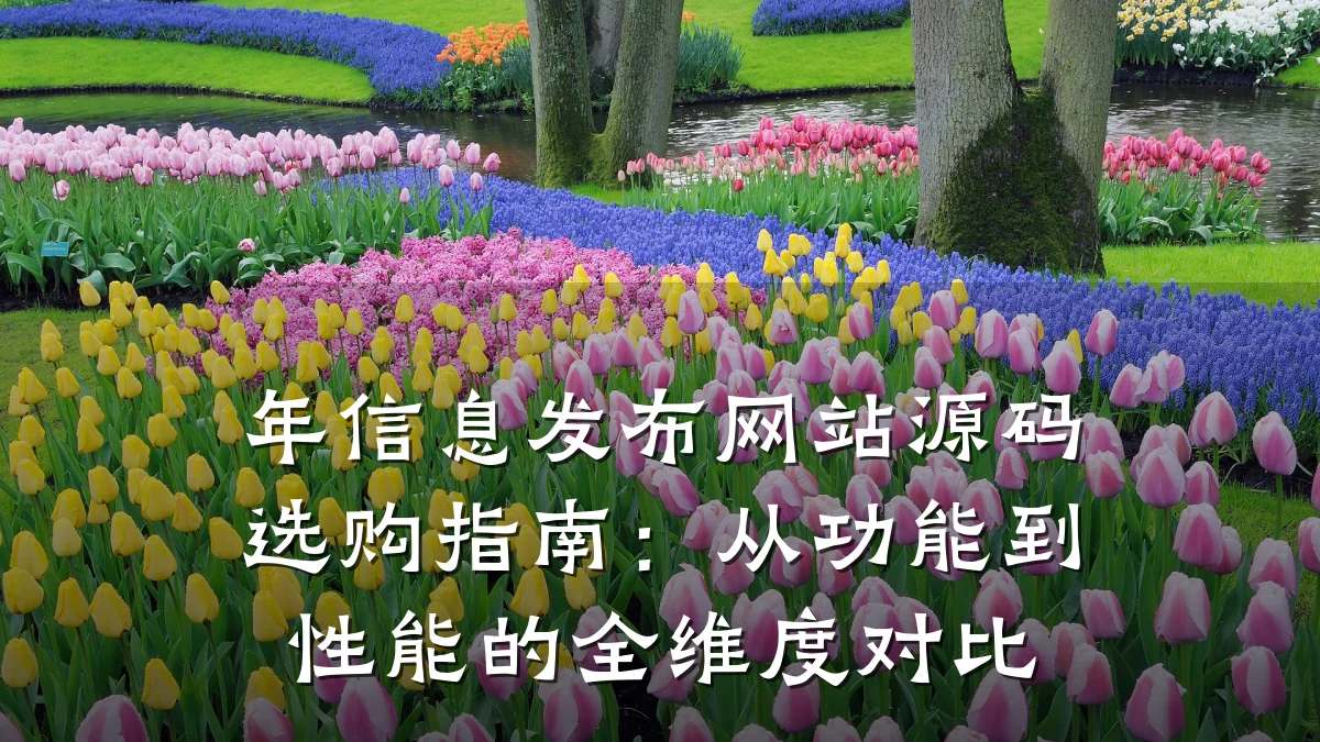 年信息发布网站源码选购指南:从功能到性能的全维度对比