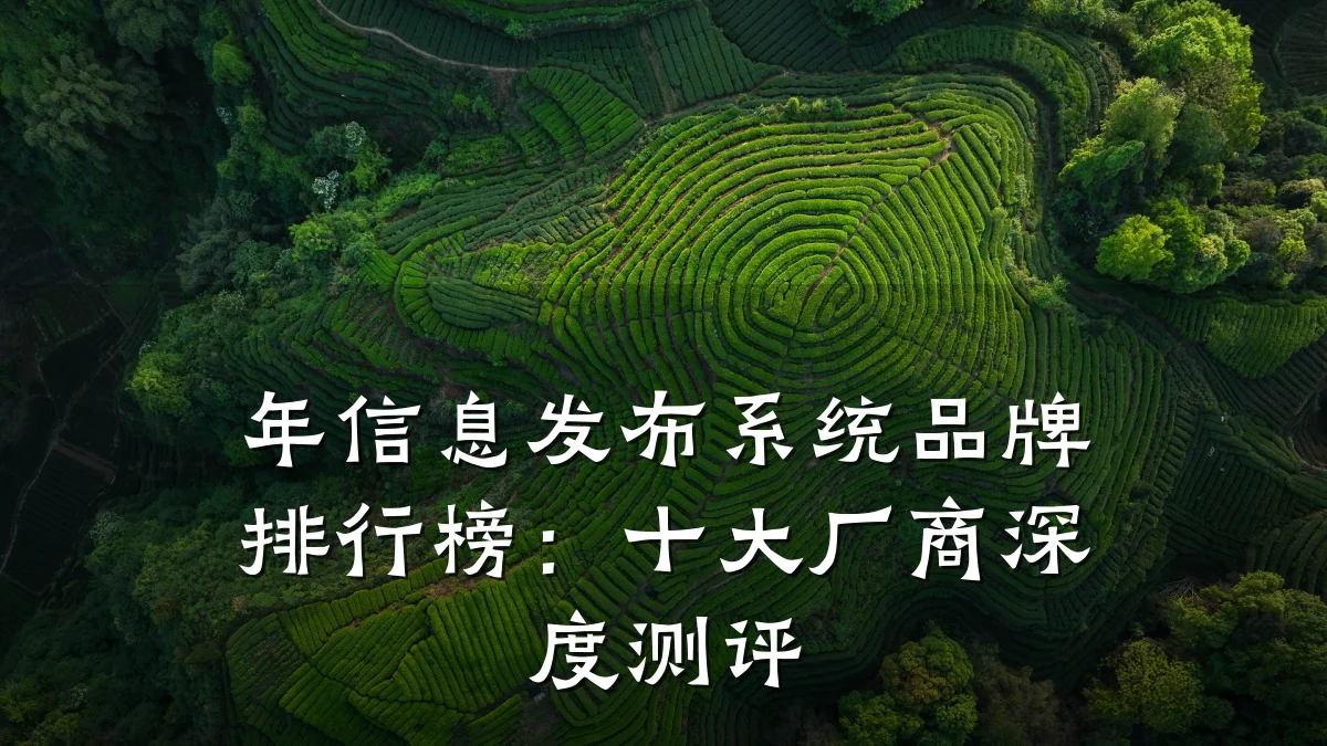 年信息发布系统品牌排行榜:十大厂商深度测评
