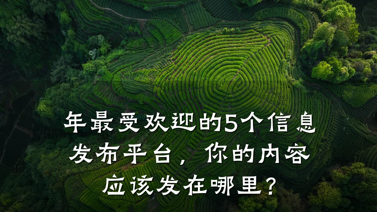 年最受欢迎的5个信息发布平台，你的内容应该发在哪里？