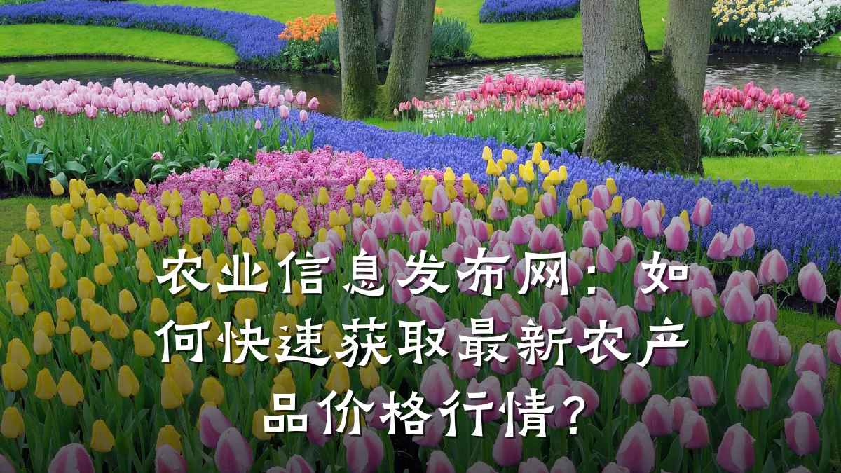 农业信息发布网:如何快速获取最新农产品价格行情?