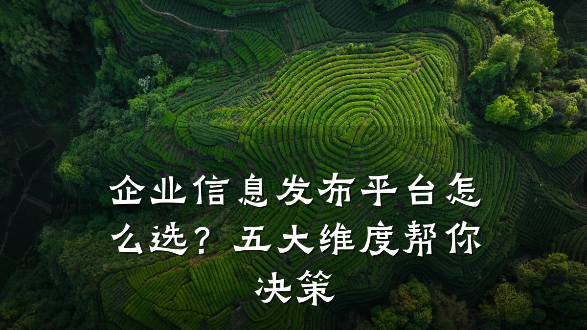 企业信息发布平台怎么选?五大维度帮你决策
