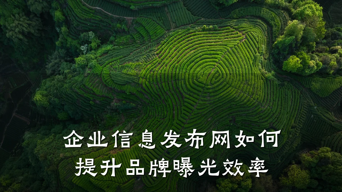 企业信息发布网如何提升品牌曝光效率