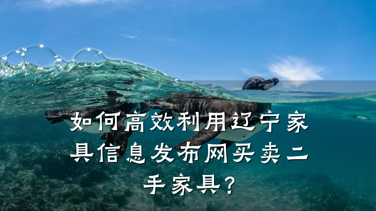如何高效利用辽宁家具信息发布网买卖二手家具?
