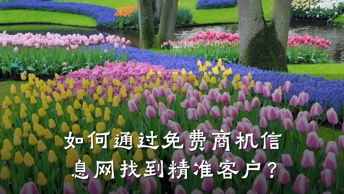 如何通过免费商机信息网找到精准客户?