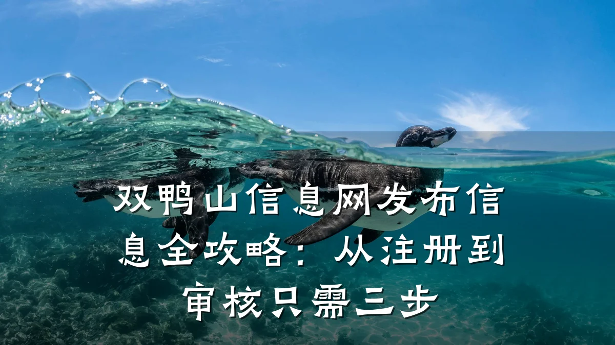 双鸭山信息网发布信息全攻略:从注册到审核只需三步