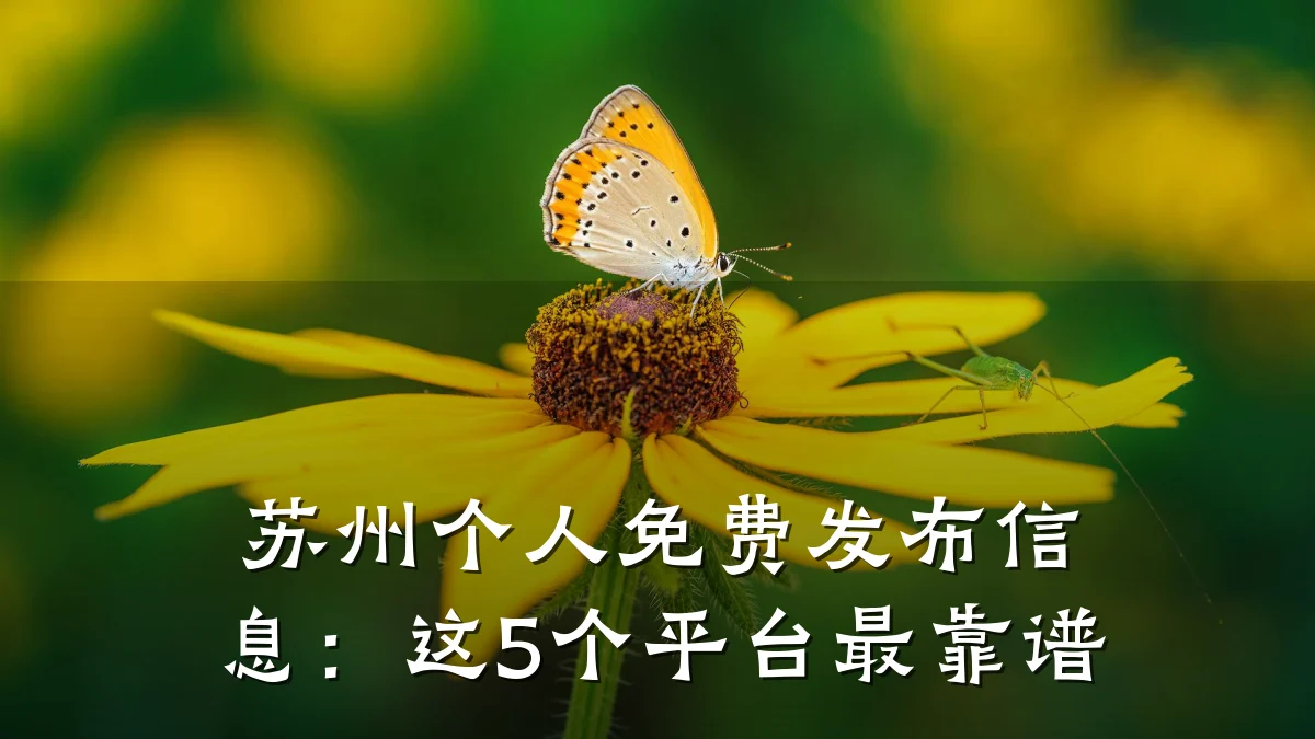 苏州个人免费发布信息:这5个平台最靠谱