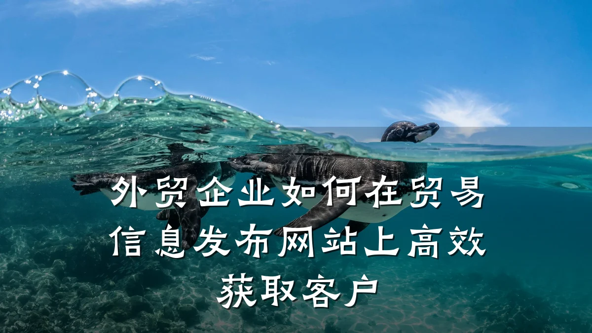 外贸企业如何在贸易信息发布网站上高效获取客户