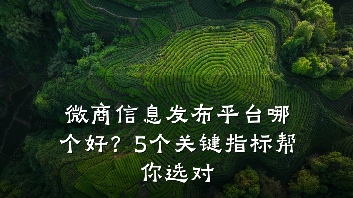 微商信息发布平台哪个好?5个关键指标帮你选对