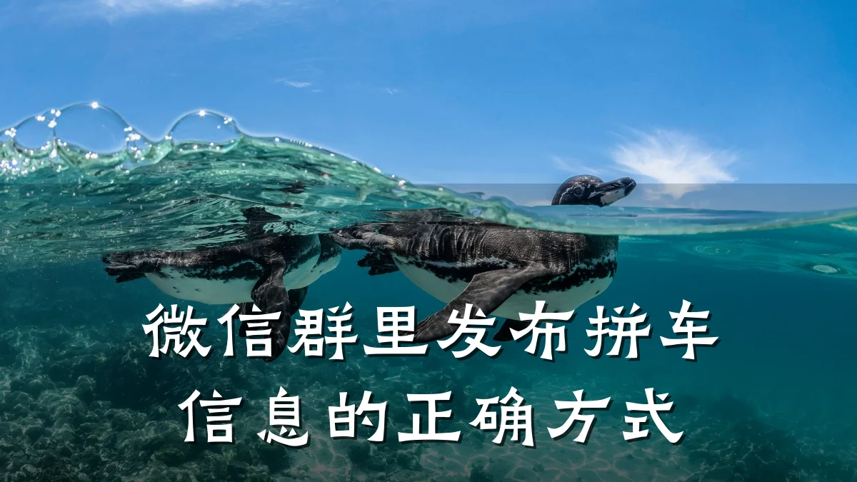 微信群里发布拼车信息的正确方式