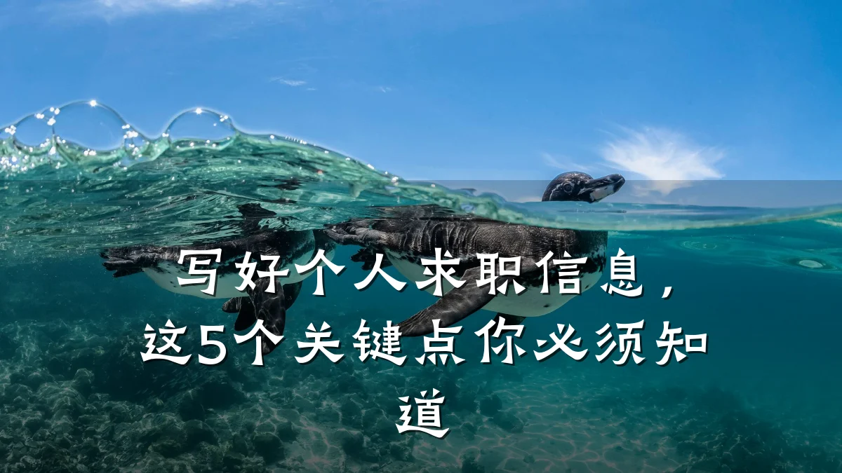 写好个人求职信息,这5个关键点你必须知道