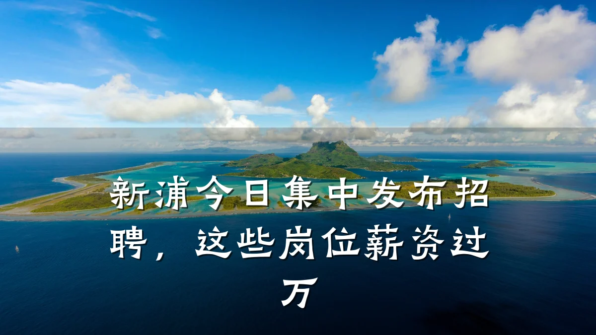 新浦今日集中发布招聘,这些岗位薪资过万