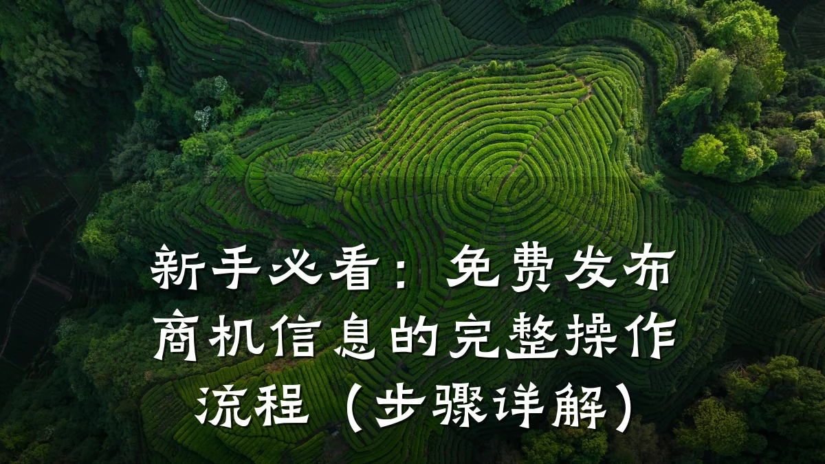 新手必看:免费发布商机信息的完整操作流程(步骤详解)