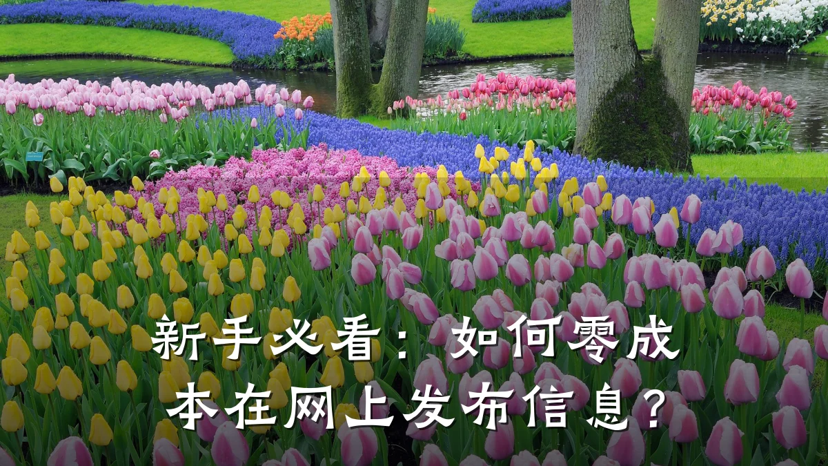 新手必看:如何零成本在网上发布信息?