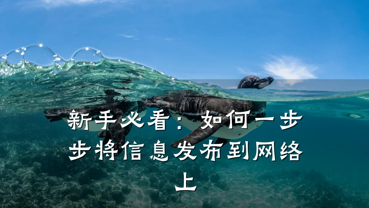 新手必看:如何一步步将信息发布到网络上