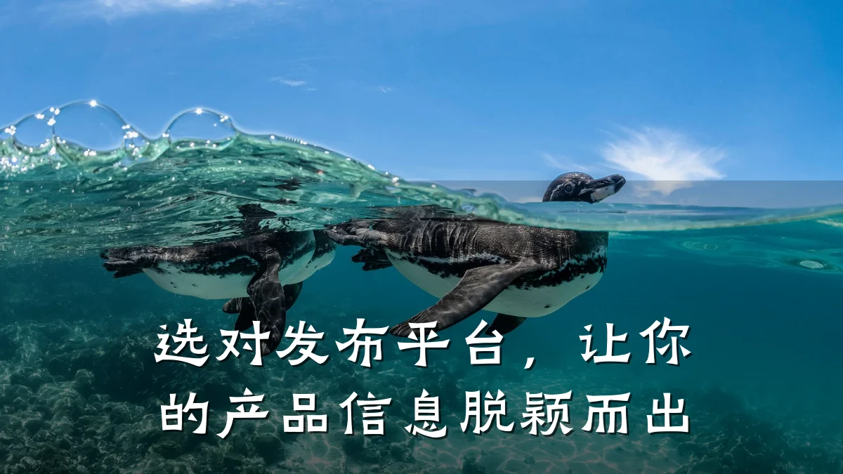 选对发布平台,让你的产品信息脱颖而出