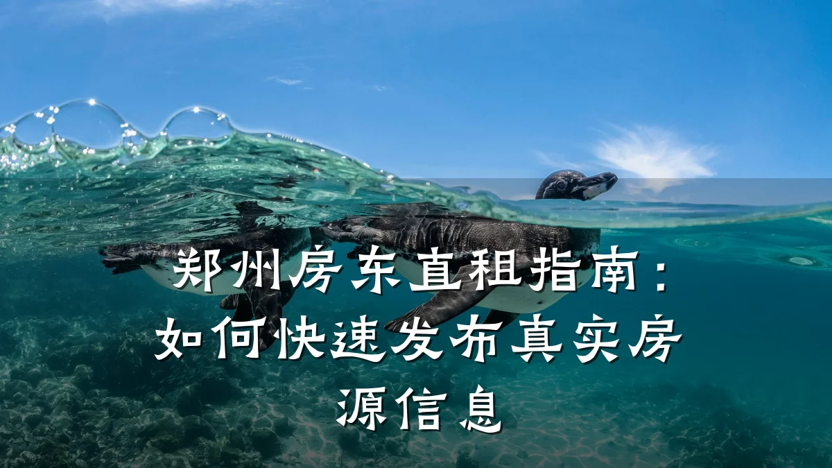 郑州房东直租指南:如何快速发布真实房源信息