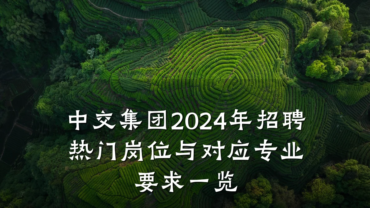 中交集团2024年招聘热门岗位与对应专业要求一览