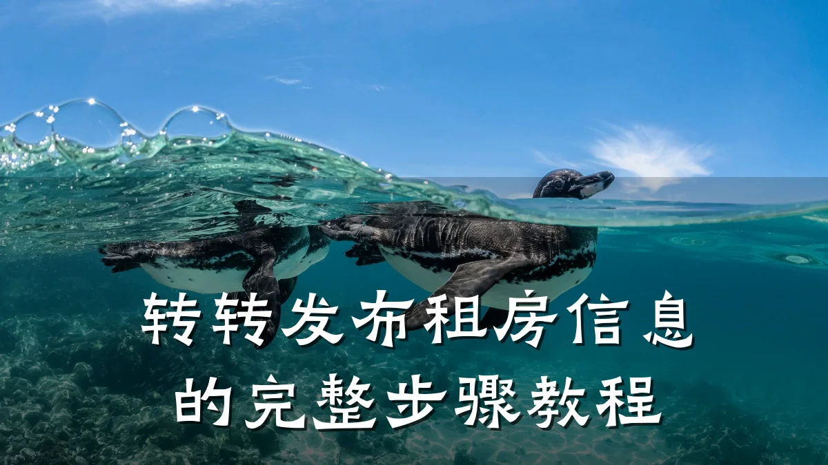 转转发布租房信息的完整步骤教程