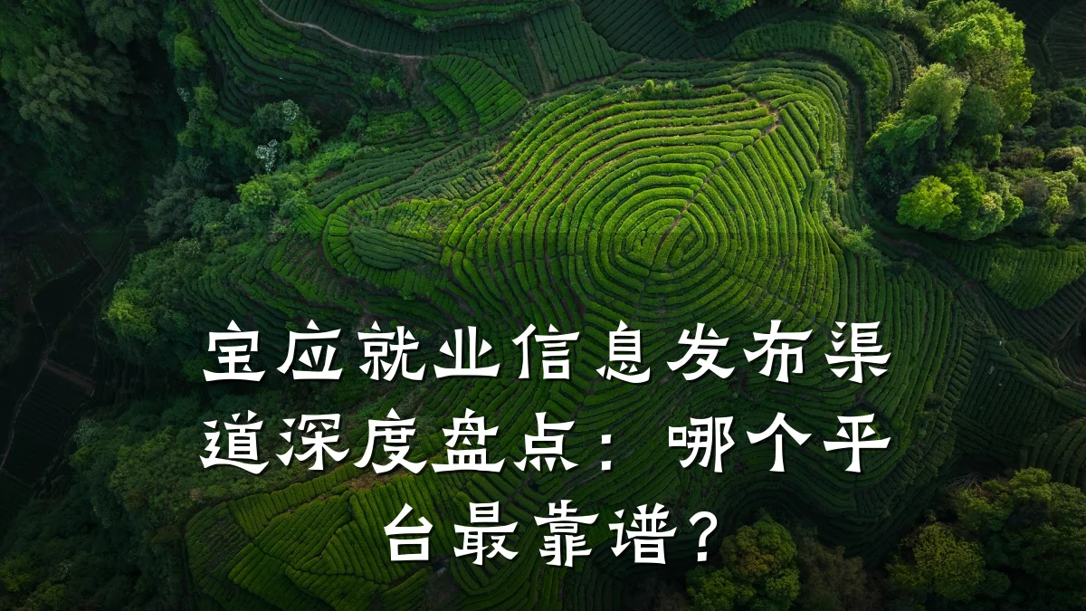 宝应就业信息发布渠道深度盘点：哪个平台最靠谱？