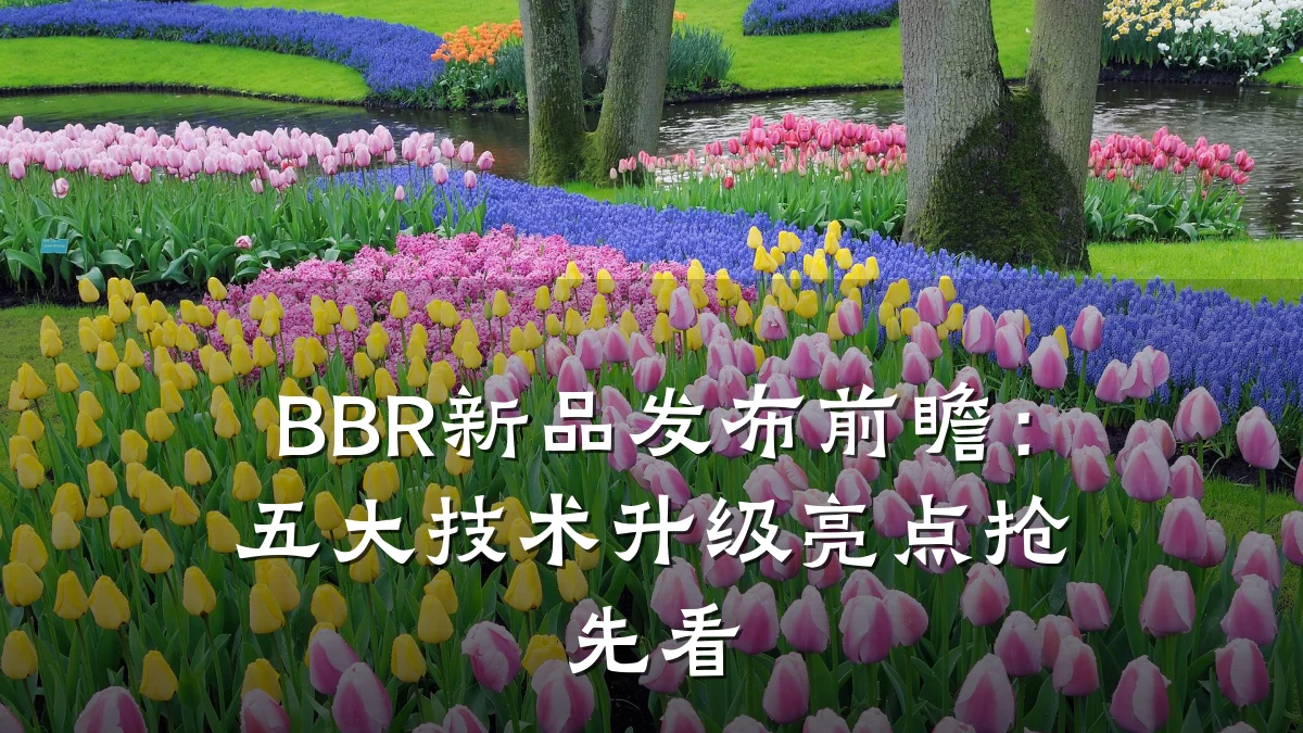 BBR新品发布前瞻:五大技术升级亮点抢先看