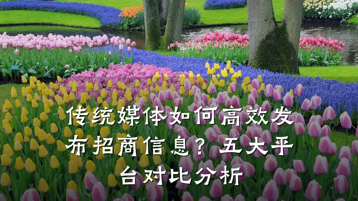 传统媒体如何高效发布招商信息?五大平台对比分析