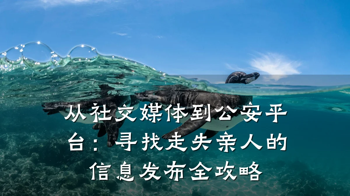 从社交媒体到公安平台:寻找走失亲人的信息发布全攻略