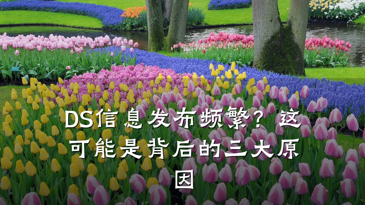 DS信息发布频繁?这可能是背后的三大原因