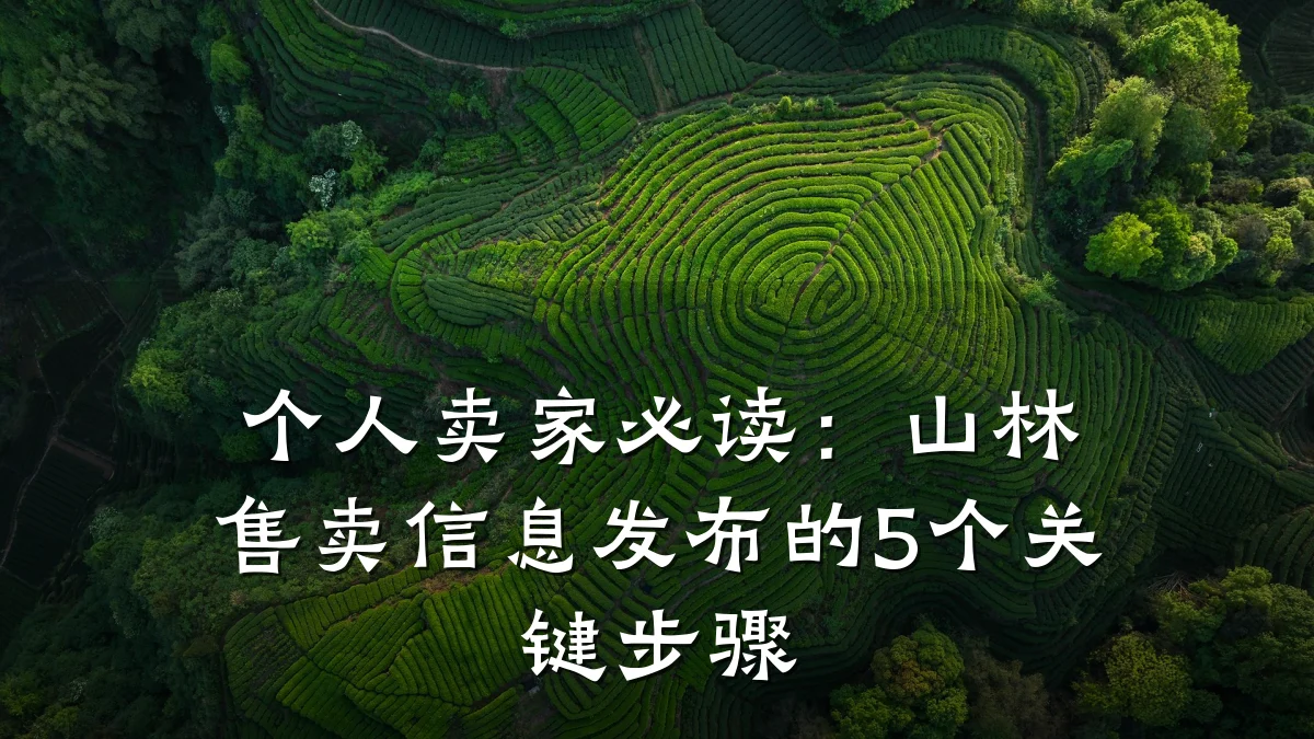 个人卖家必读:山林售卖信息发布的5个关键步骤