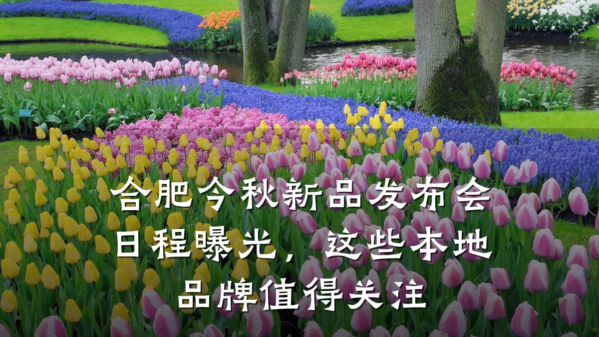 合肥今秋新品发布会日程曝光,这些本地品牌值得关注