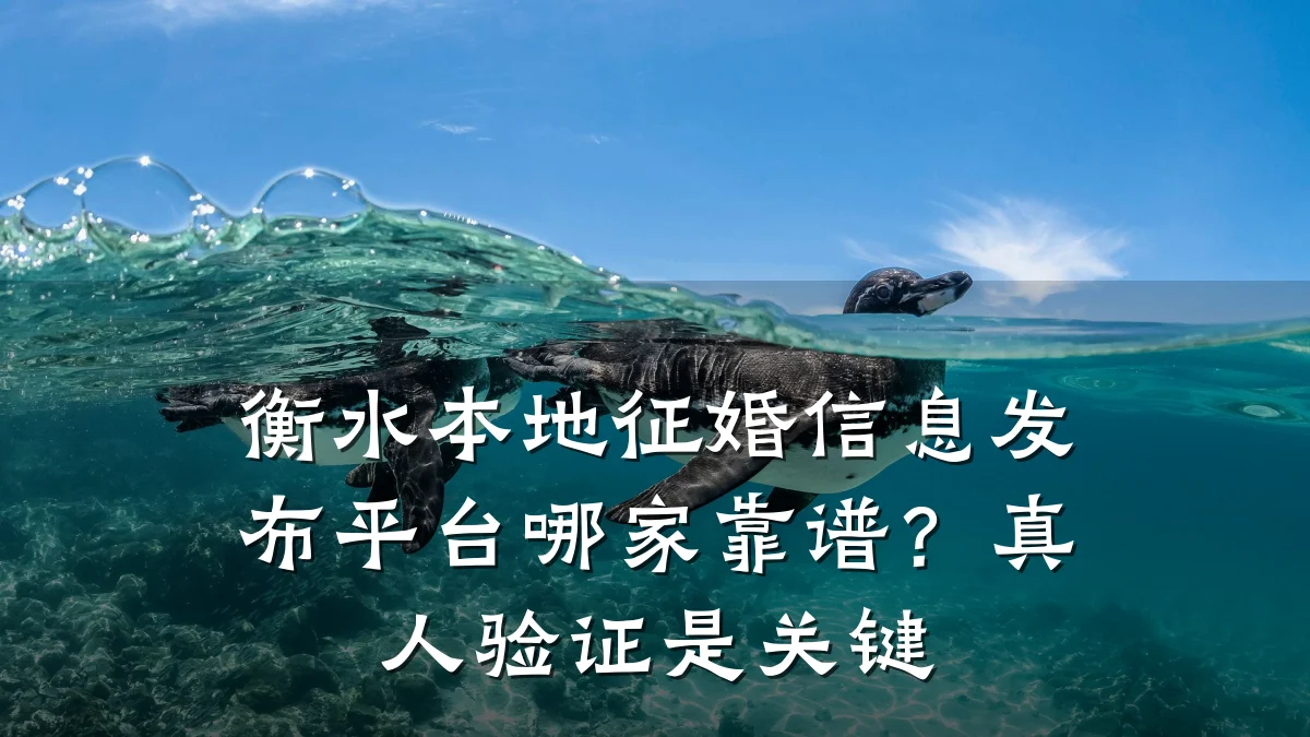 衡水本地征婚信息发布平台哪家靠谱?真人验证是关键