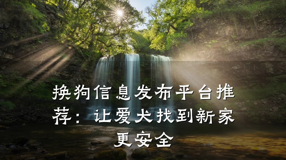 换狗信息发布平台推荐:让爱犬找到新家更安全