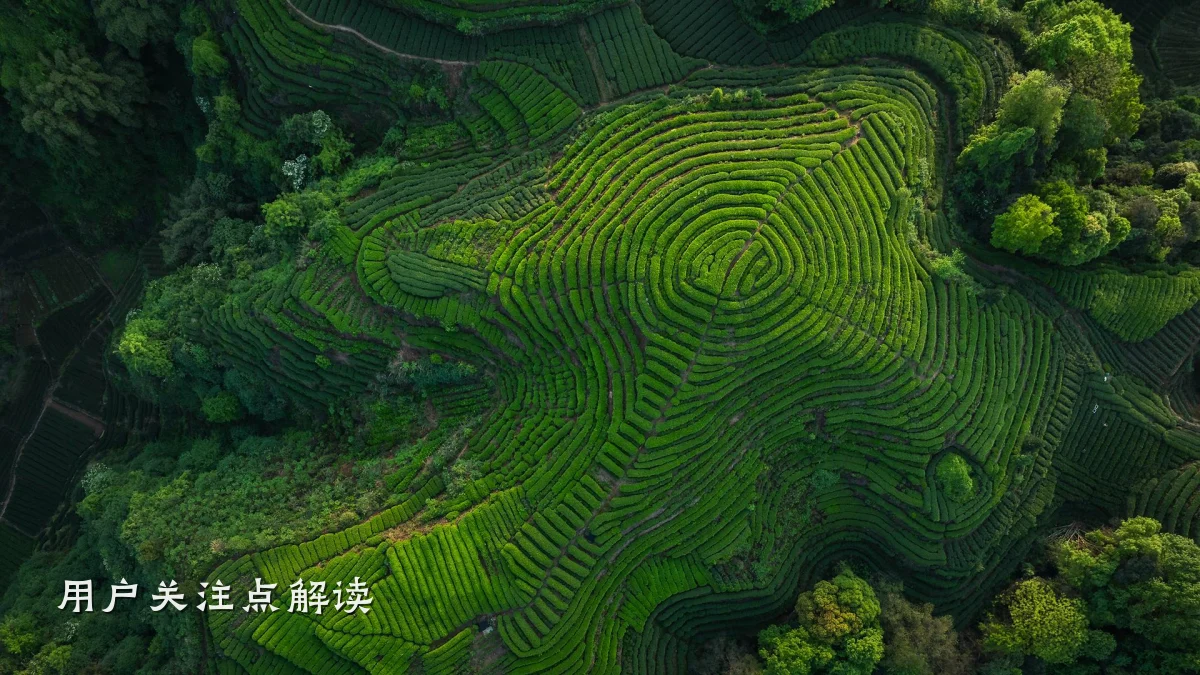 用户关注点解读