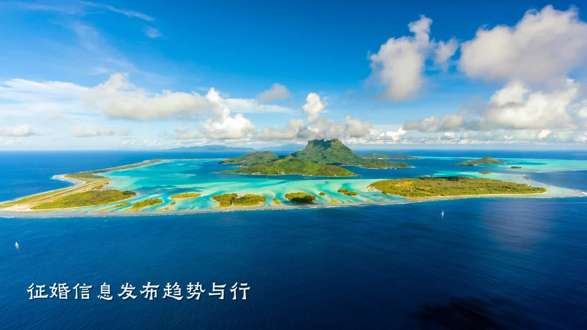 征婚信息发布趋势与行