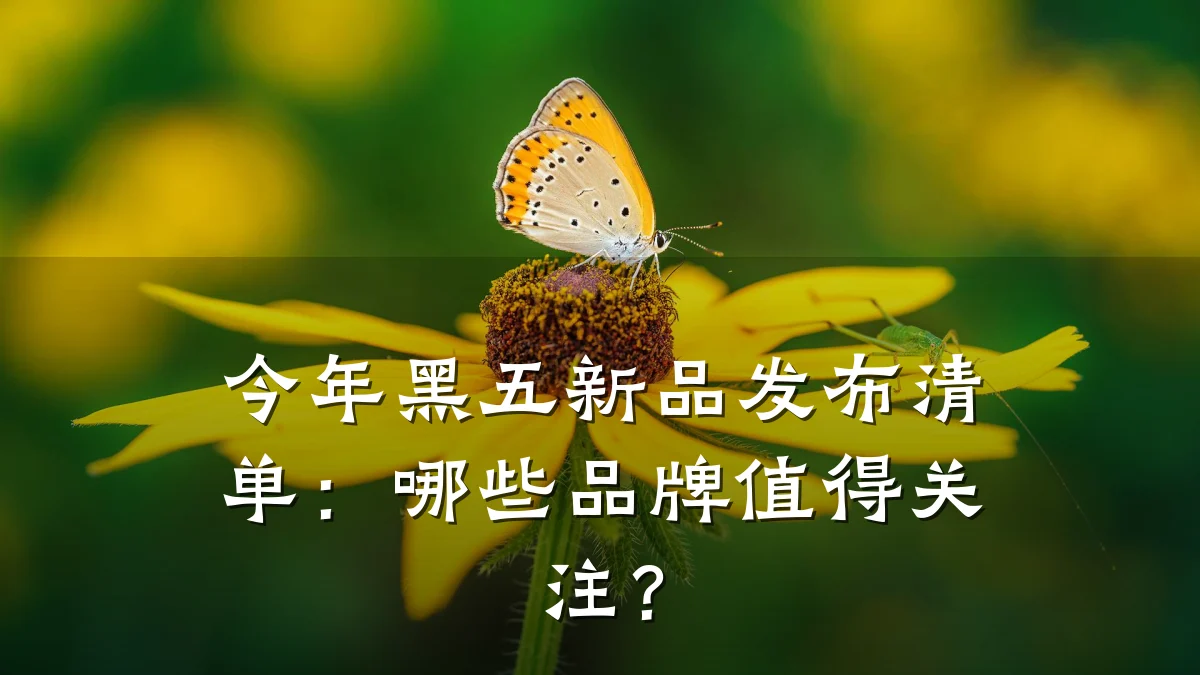 今年黑五新品发布清单:哪些品牌值得关注?