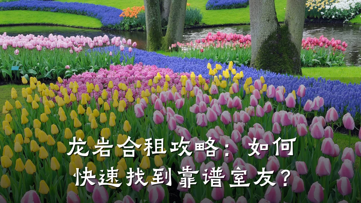 龙岩合租攻略:如何快速找到靠谱室友?