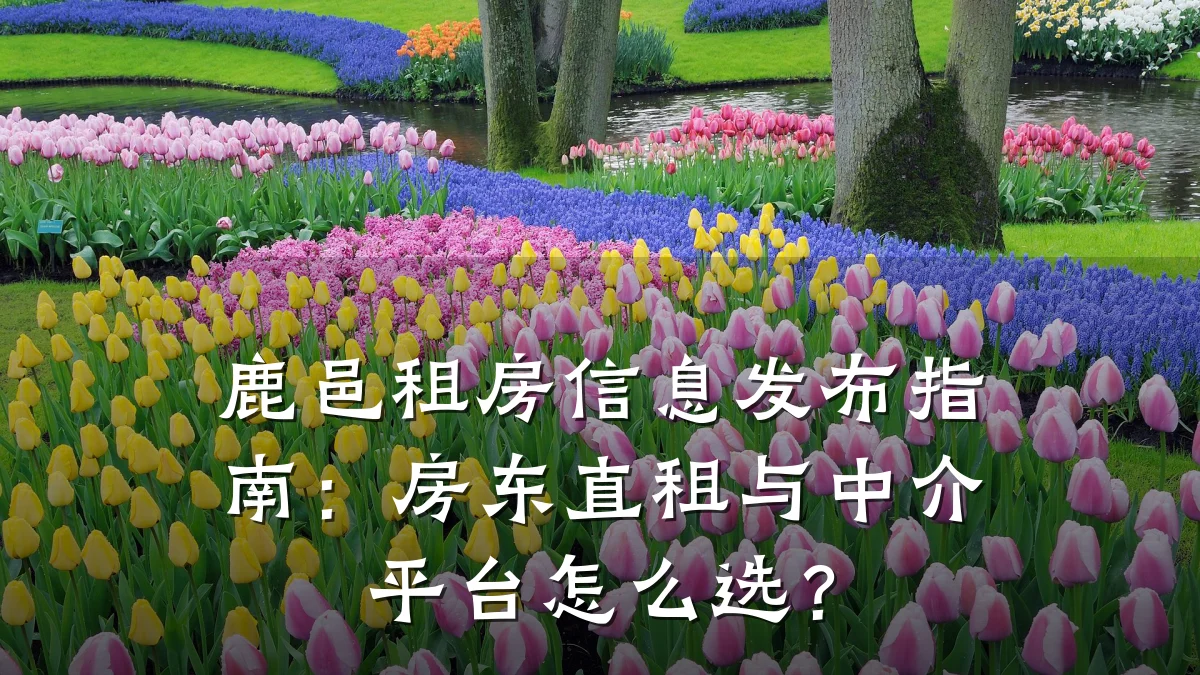 鹿邑租房信息发布指南:房东直租与中介平台怎么选?