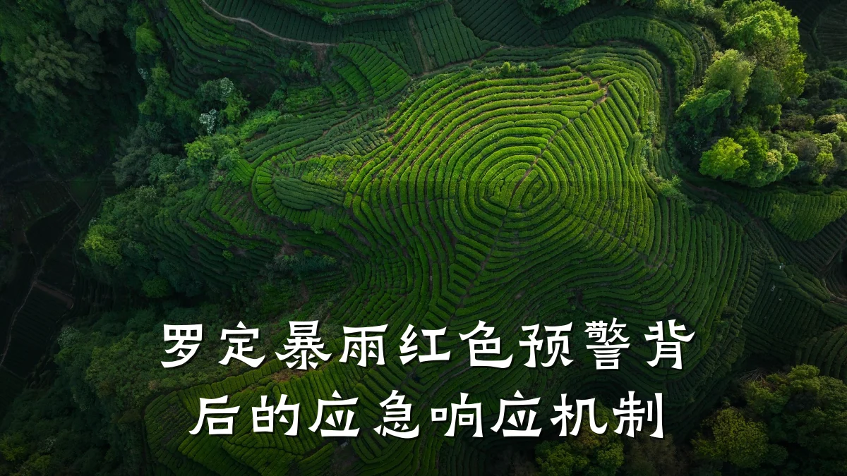 罗定暴雨红色预警背后的应急响应机制
